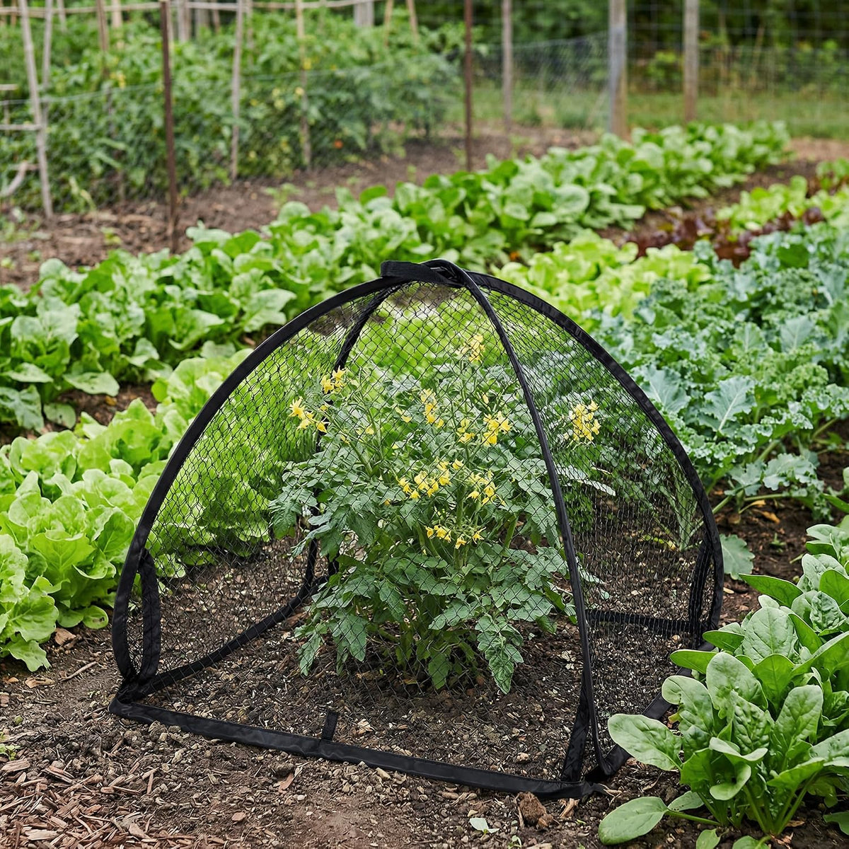 2 Pcs Pop-Up Mesh Plant Cover Tent, 30 x 28 in Garden Net Cage Guard Cover