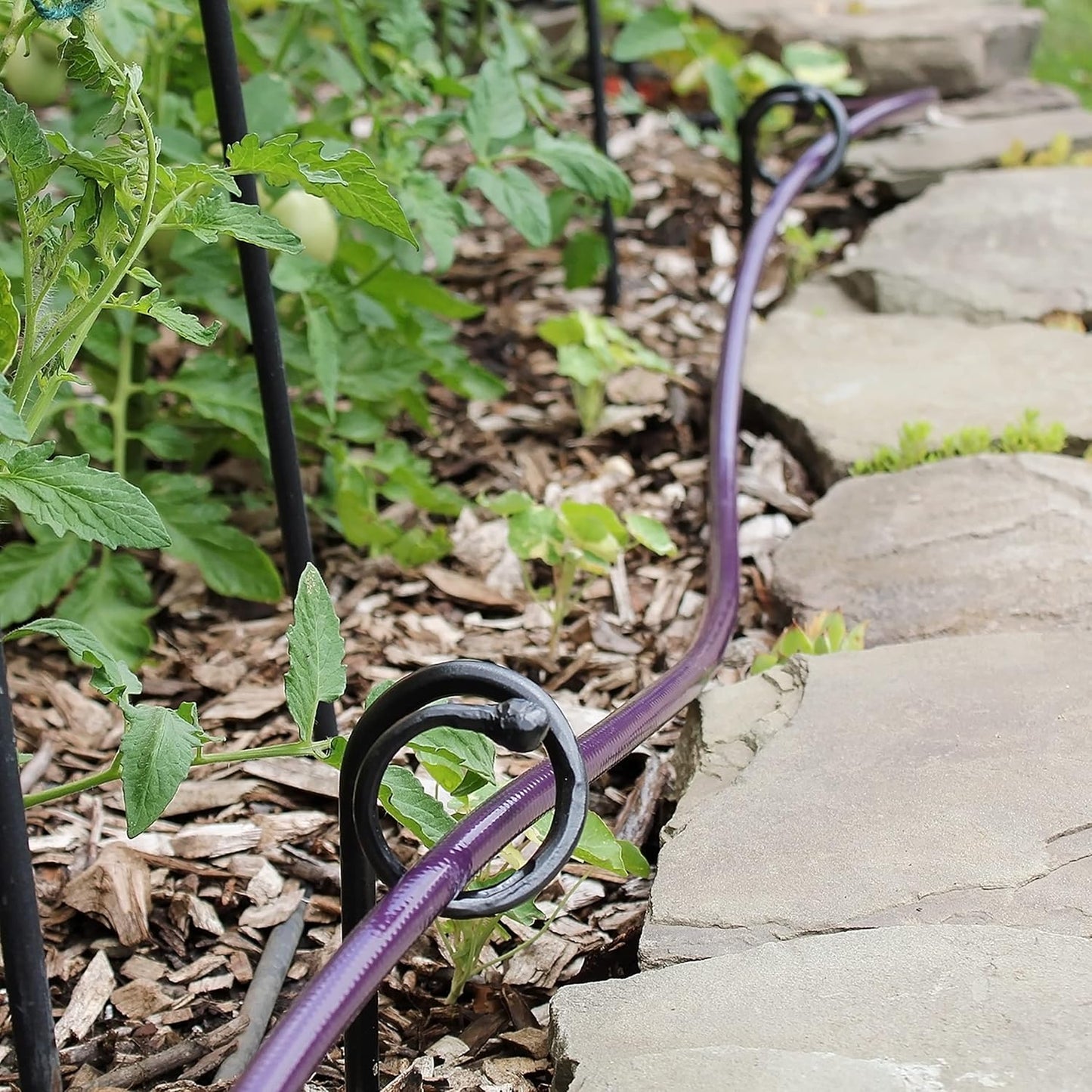 Achla Designs Ball End Hose Guard/Guide 6-Pack