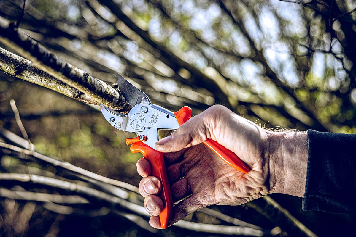 10 Professional Anvil Pruning Shears 10.107 with Bypass Geometry - Innovative Sharp Shears with Ergonomic Handles and Non-Stick Steel Blade for Pruning Work in Orcharding