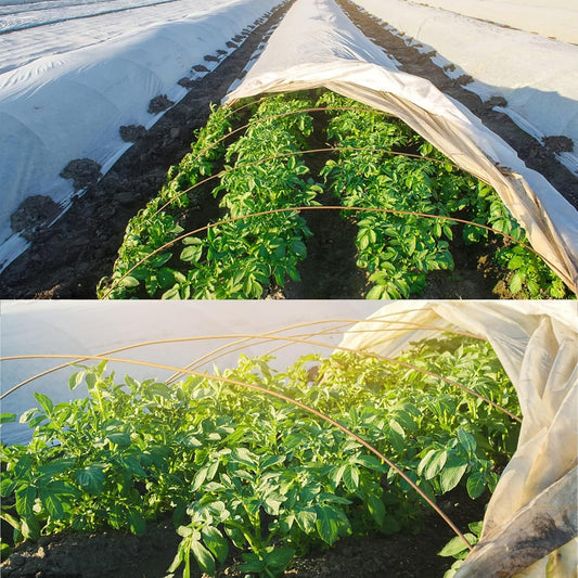 Garden Insect Netting & Frost Protection Cover - 2-3m x 5-10m Floating Row Cover Fabric for Vegetables, Plants, Winter Frost & Insect Barrier (2m x 10m)