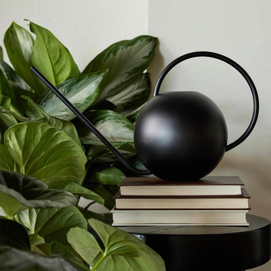 Fresca 84 Oz. Black Watering Can - 1 Each