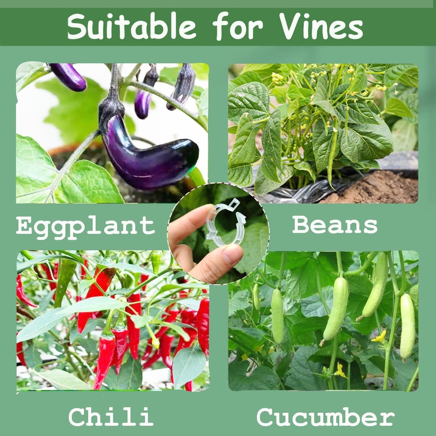 Plant Support Clips, 100 Pcs Tomato Clips, Plastic Trellis Clips, Grape Vine Tomato Vine Vegetables Plants Garden Support Clips to Grow Upright Makes Plants Healthier