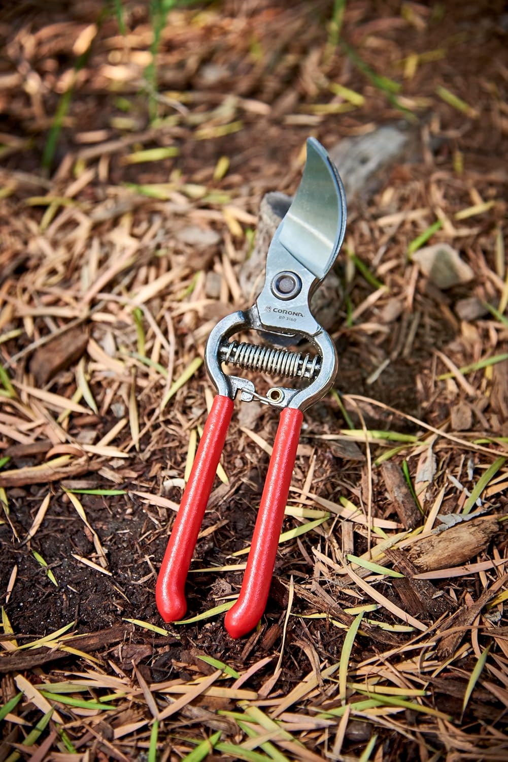 Corona BP 3180D Forged Classic Bypass Pruner with 1" Cutting Capacity, 1", Red