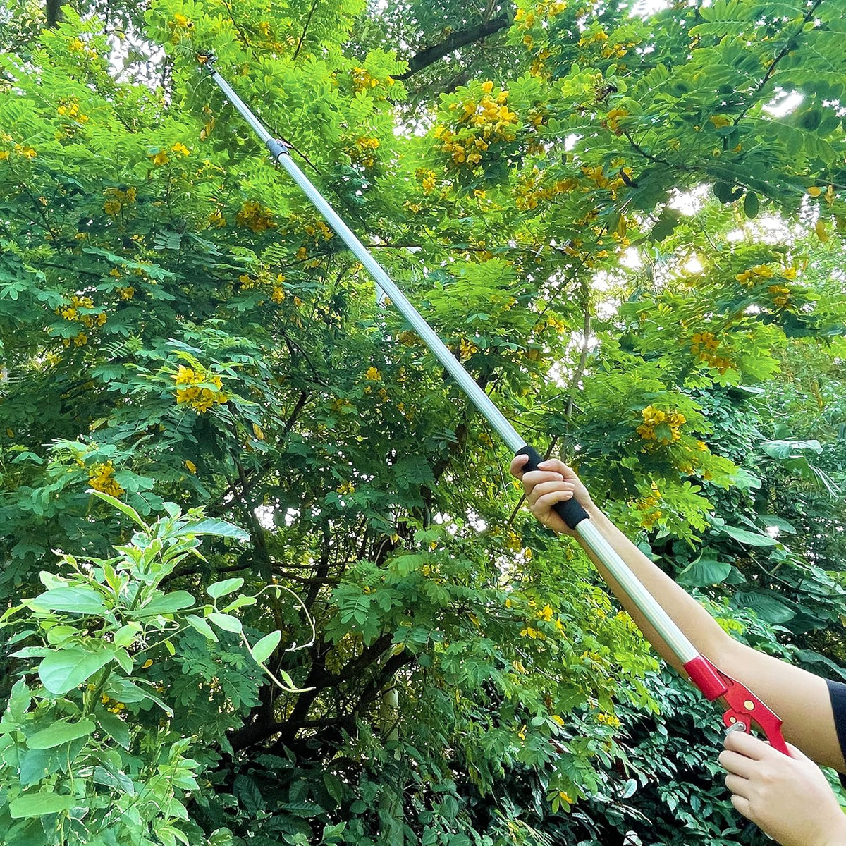 Tree Trimmer 4.5-7.3 FT Extendable, Pole Saw and Pruner