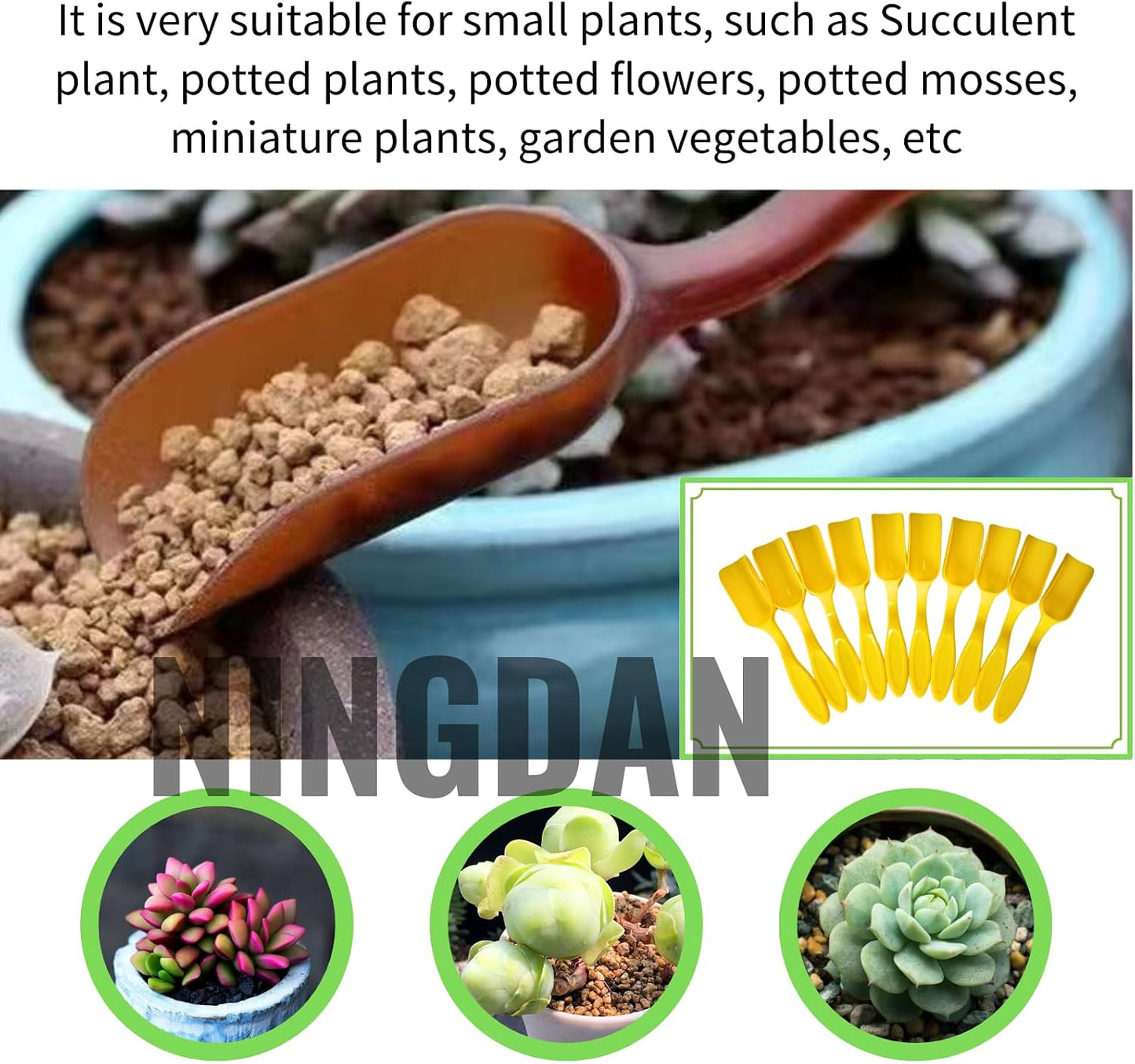 10Pcs Mini Shovel,Plastic Mini Gardening Shovel Spoons Soil Scoops,Cultivation Digging Transplanting Tools for Succulents Potted Flowers,Milk Powder/Coffee Beans Scoops (5 Colors)