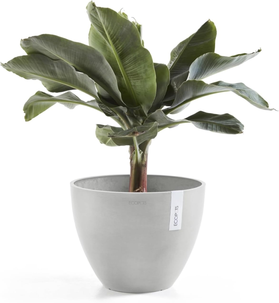 Antwerp Round Tapered Flower Planter, White Grey, 16"