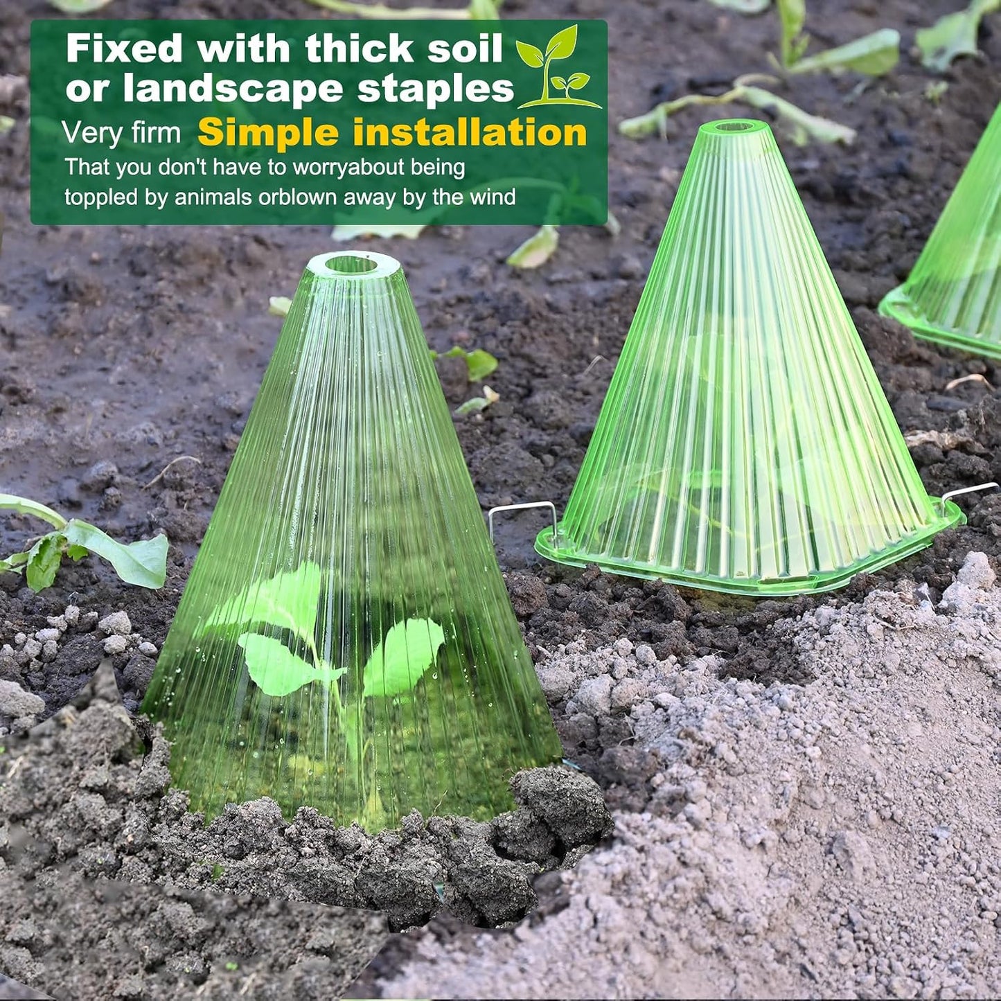 Garden Cloches,20 Pack Reusable Plant Bell Cover,Bell Jar Cloches for Protection Against Sun, Frost, Snails Etc. (Dark Green)
