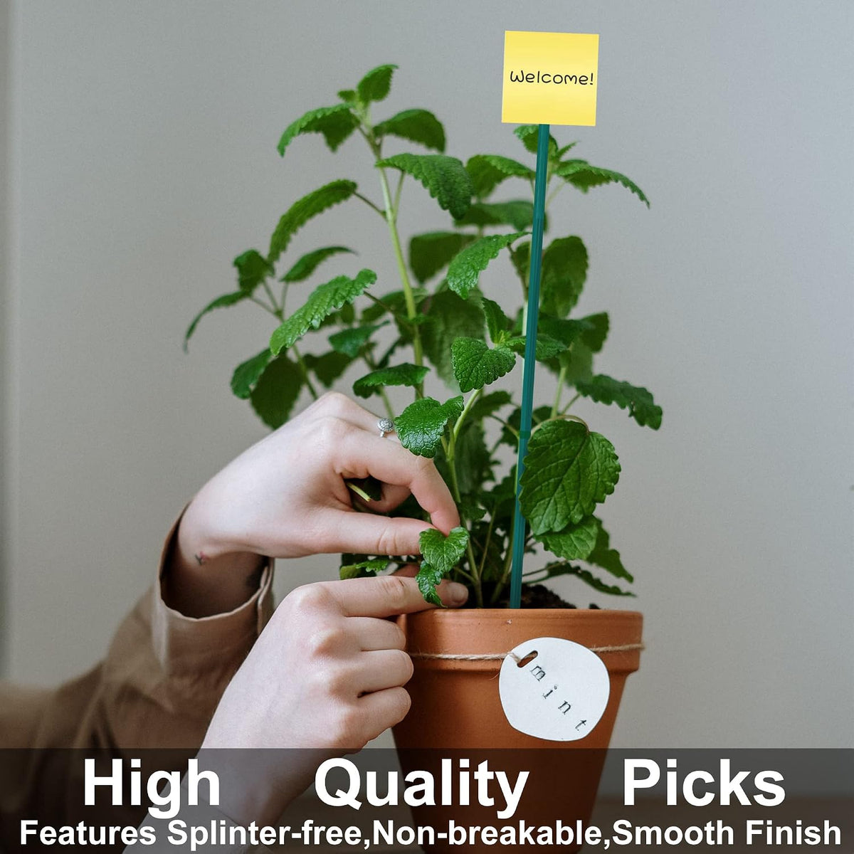 50 PCS 18” Wood Plant Stakes Garden Tomato Sticks Plant Stakes & Supports for Potted Plants, Comes with 100 pcs Green Twist tie