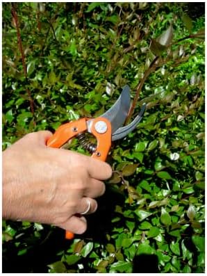 P121-20-F Hand Pruner, 8-Inch