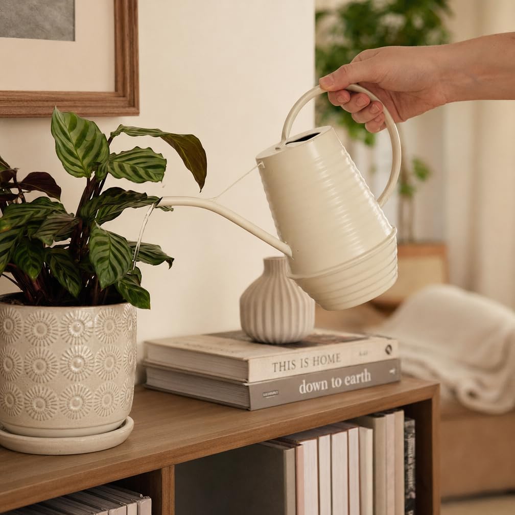 Small Watering Can, Matte Cream White, 34oz., Metal Watering Can with Long Spout, Nice Indoor Water Can, Plant Water Can for Indoor Plants
