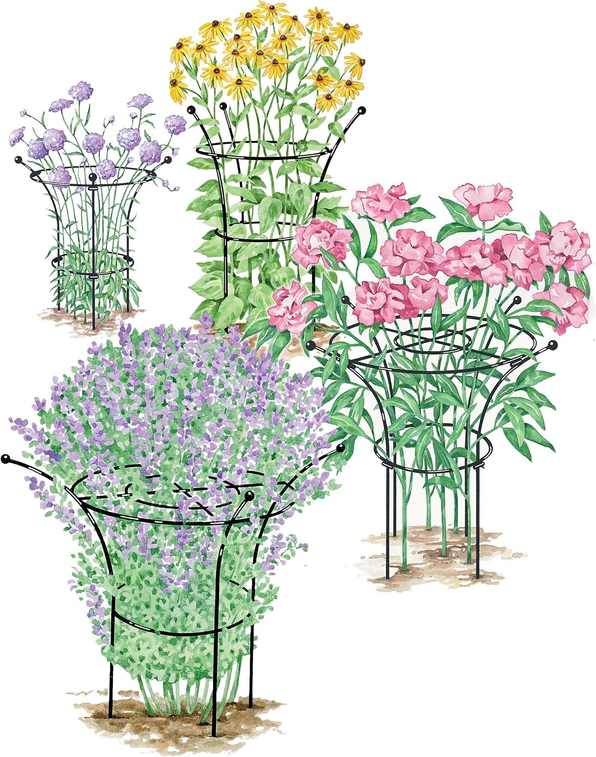 Essex Plant Support | Sturdy Metal Frame for Peonies & Roses | Standing Flower Garden Cage | Natural Bouquet Shape | Small 23" H X 14" D (Set of 2)