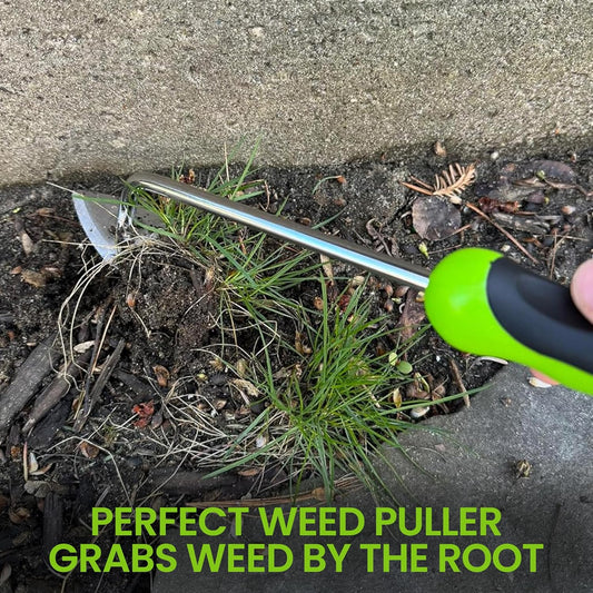Root Weeder Tool with Ergonomic Handle - Stainless Steel Weed Puller for Planting, Weeding, Flower and Vegetable Care in Lawn Garden Yard | Rust Resistant