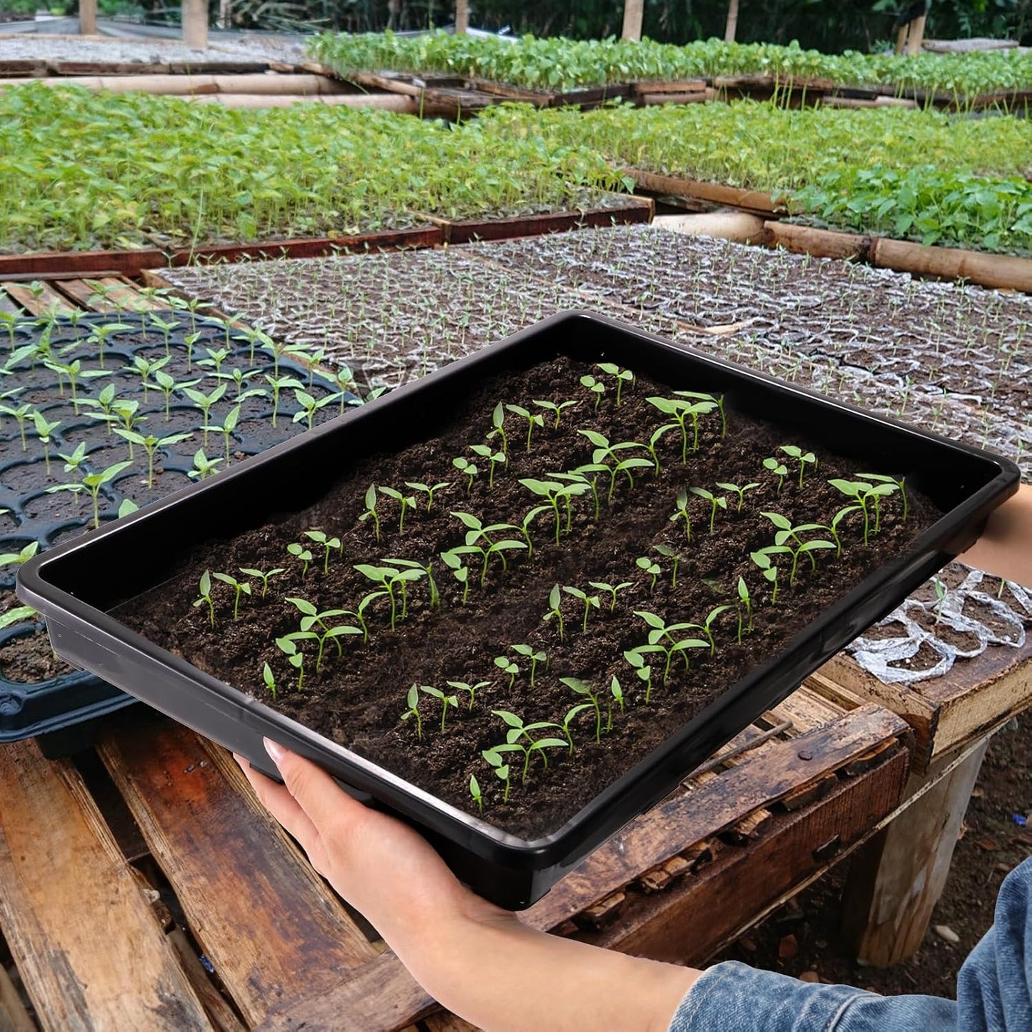 ZAVOOS 6 Pack Nursery Potting Trays with No Drain Holes