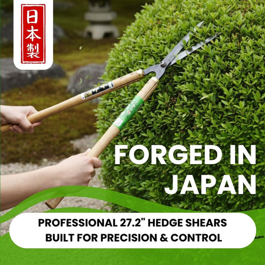 Fujiwara Japanese Hedge Shears 27.2 in (690 mm), Forged Garden Clippers with White Oak Handles, Precision Trimming Shears for Hedges, Shrubs & Landscaping
