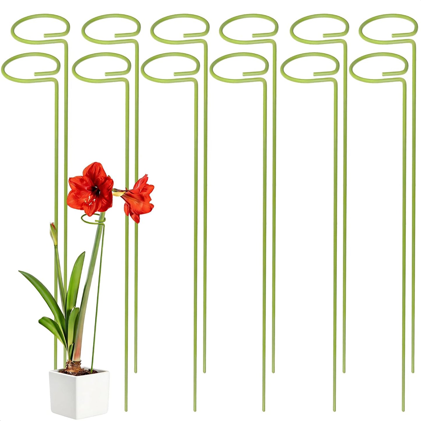 6-Pack Plant Stakes for Indoor Plants, 16 Inch Heavy Duty Adjustable Support Stakes & Tall Sticks for Monstera, Amaryllis, Orchid, Snake Plant, Single Stem, Indoor Outdoor