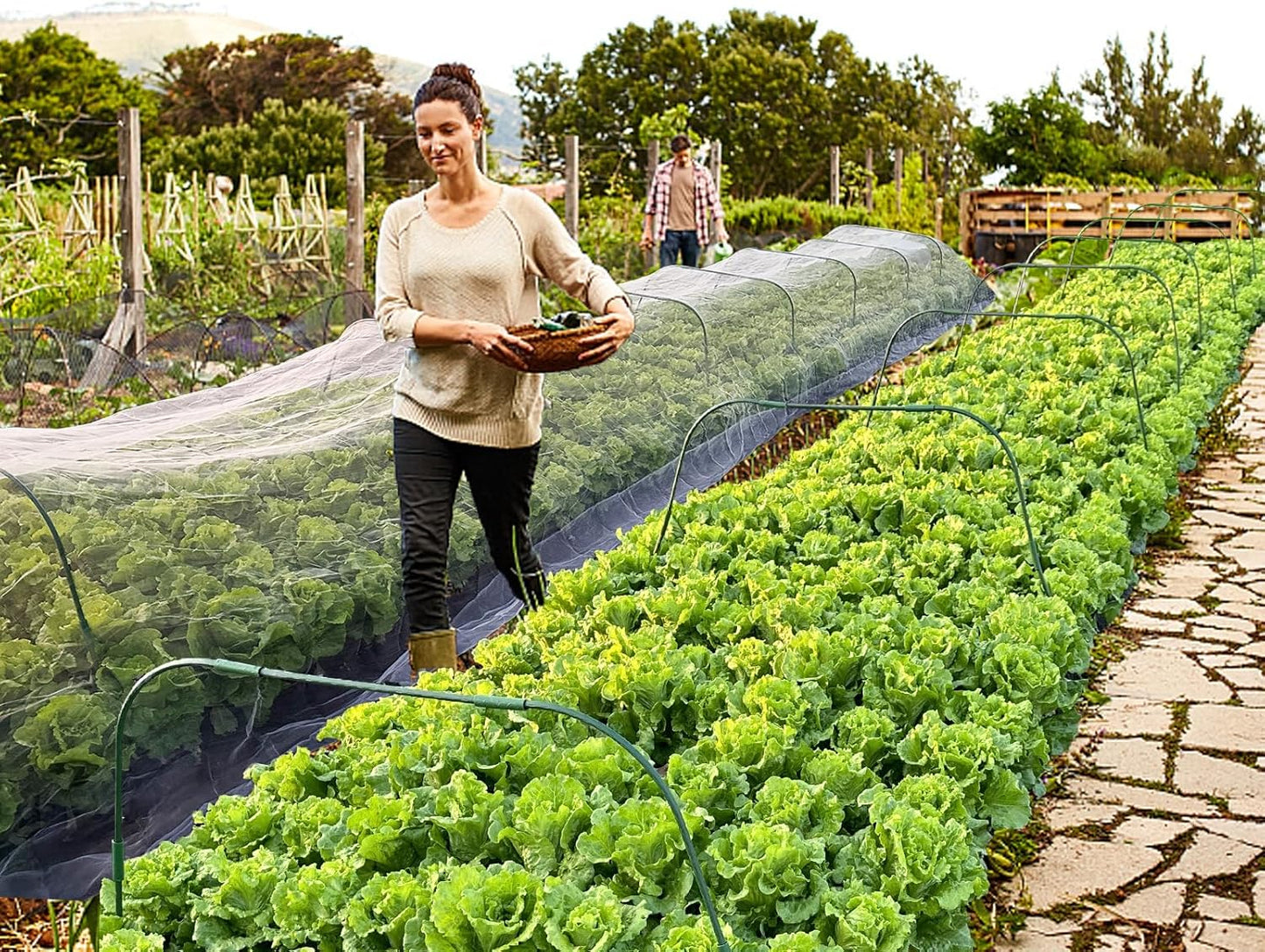 10 Sets Greenhouse Hoops Grow Tunnel-41.3" W x 31.5" H with 30 PCS Clamps,DIY Garden Hoop Plastic Rustproof Support Frame Garden Hoop Stakes for Plants Fruits Vegetables Raised Garden Beds Row Cover