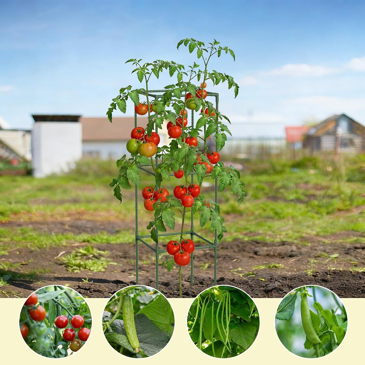 Garden Obelisk Trellis for Climbing Plants - 76" Tall Weather-Resistant Rustproof Metal Plant Flower Support for Roses, Clematis, Tomatoes & Vines, Indoor/Outdoor Use, 12”D (2 Pack)