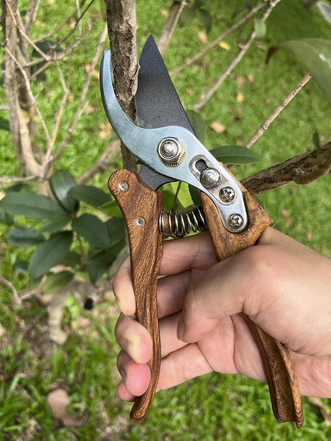 Branch Trimmer, Japanese Bonsai Trimming Scissors, Garden Clippers Handheld, Ergonomic Gardening Tools, Floral Shears Gardening Set, Garden Pruners Farming Tools (Wood Silver)