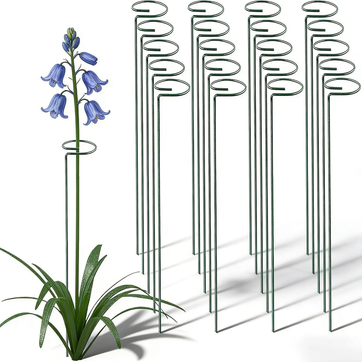 20 Pieces 16 inch Green Single Stem Plant Stakes Garden Plant Support Rings Flower Support Hoops Prop for Amaryllis Orchid Lily Rose Peony Gladiolus