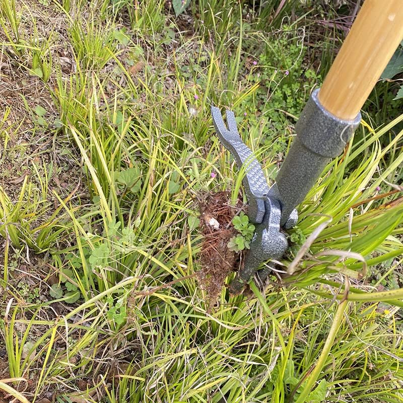 Heavy Duty Stand Up Weed Picker-Cast Iron Weed Removal Tool for Garden Handheld Weed Puller Without Bending Pulling, Kneeling -No Handle