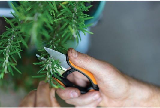 Herb Garden Scissors, 5" Garden Shears, Handheld Herb Snips with Sheath and SoftGrip Handle, Dishwasher Safe