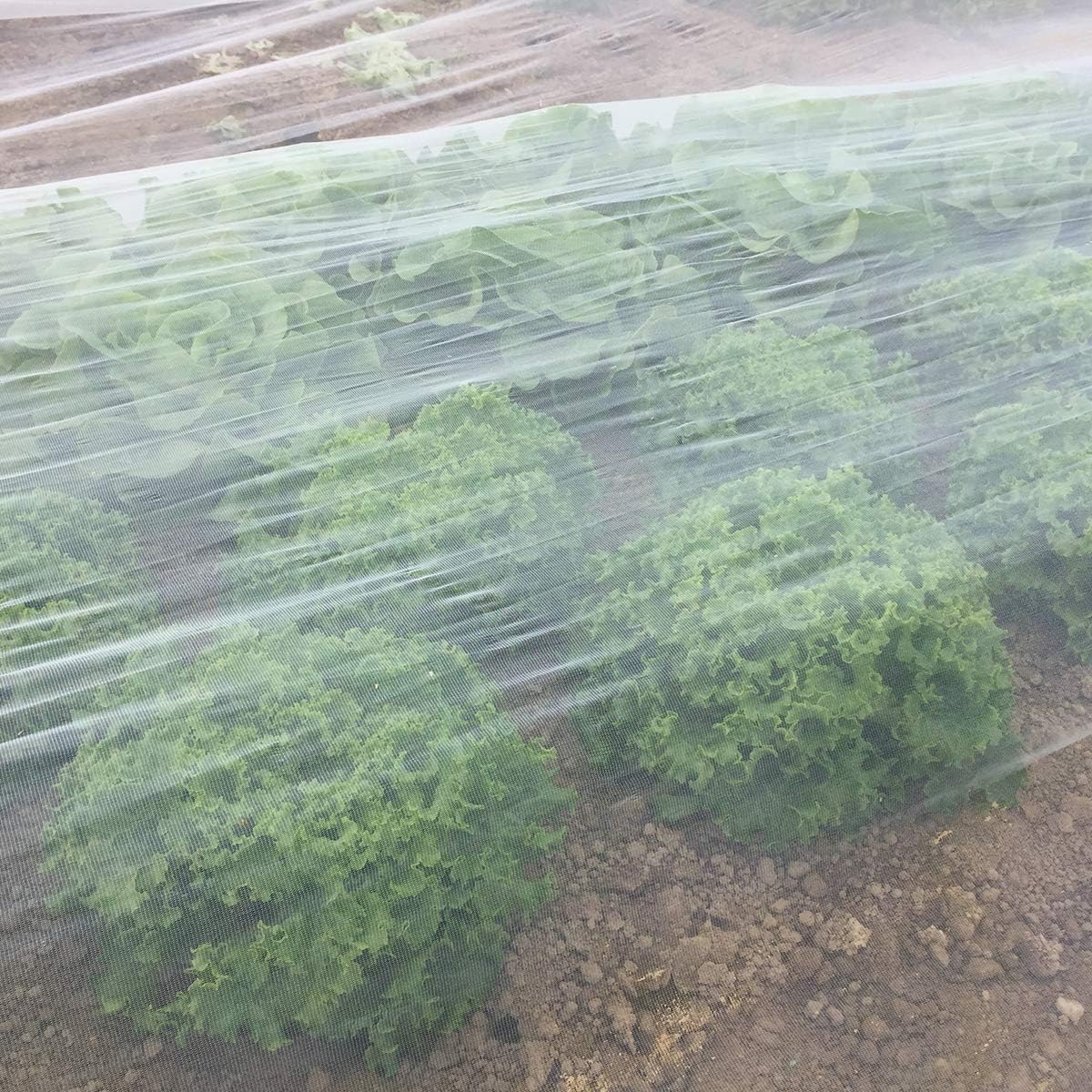 Luxiv White Garden Bug Netting, 6.5X16Ft Plant Barrier Mesh Insects Net