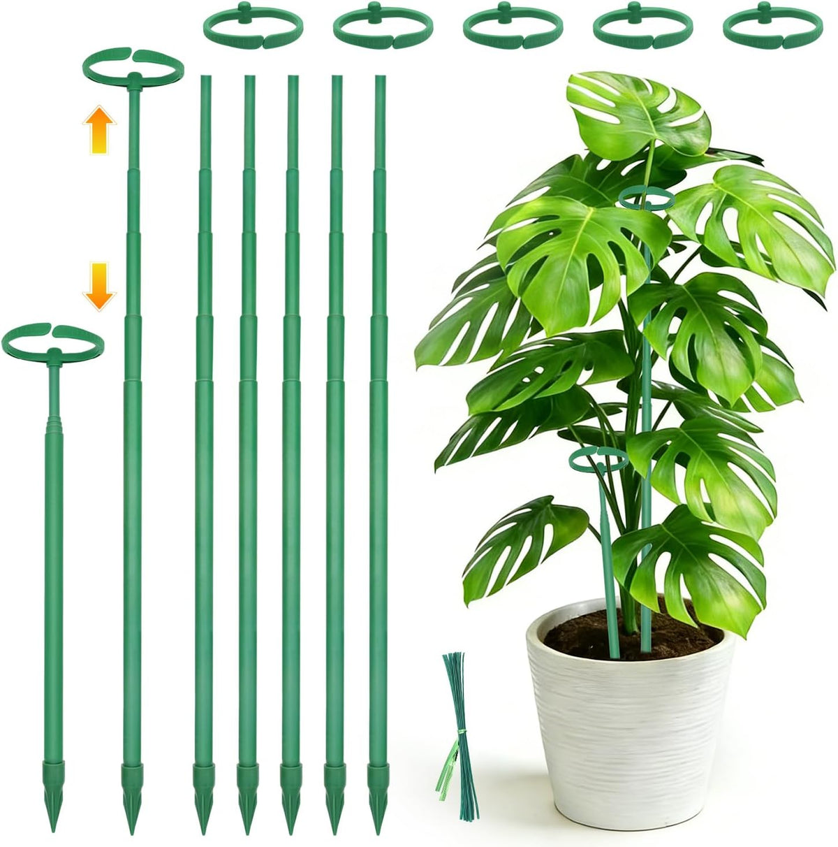 Telescoping Monstera Plant Stakes, 12.5-48.4IN Indoor Plant Support- 3Pack