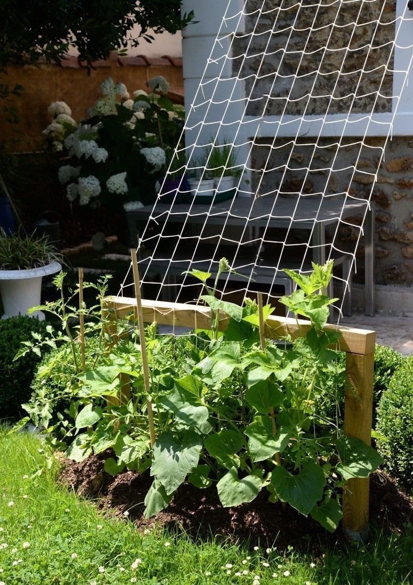 Nylon Trellis Netting Roll 5 x 200 ft, Heavy Duty Garden Netting with 6 Inch Soft Mesh, Plant Support Mesh for Climbing Plants, Vegetables, Fruits, Cucumbers, Peas, Tomatoes