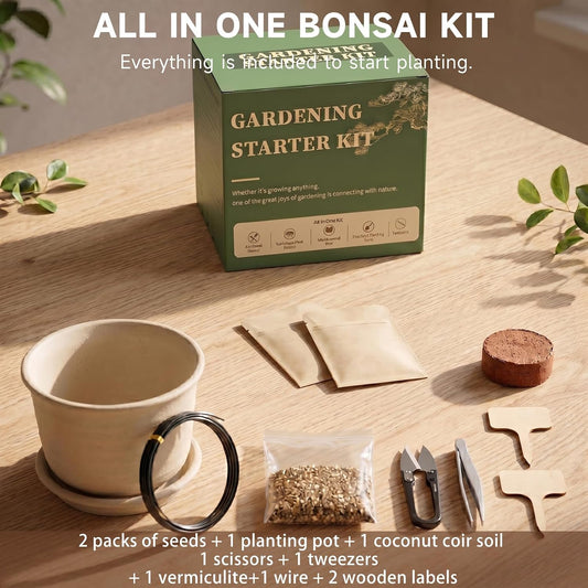 Bonsai Tree Starter Kit, Jacaranda Bonzai Kit, Indoor Bonsai Trees Plant Seeds with Drainage Design Pots, Gardening Gifts for Women, High-Value Plant Gifts