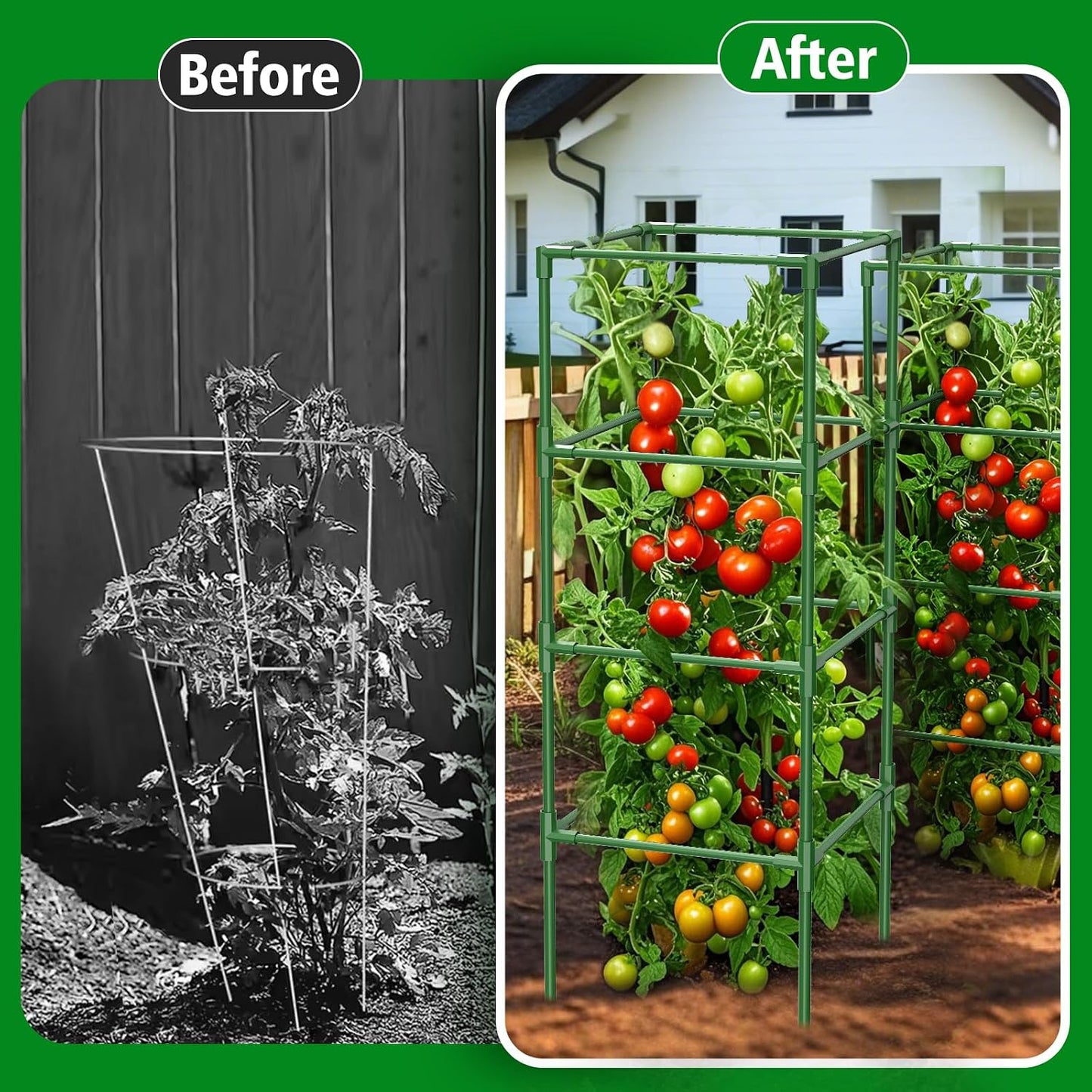 3 Pack Tomato Cages, 42 Inch Heavy Duty Metal Square Tomato Cage for Raised Garden Bed, Rust-Proof Sturdy Tall Tomato Trellis Supports for Climbing Plants Outdoor with Clips Wire