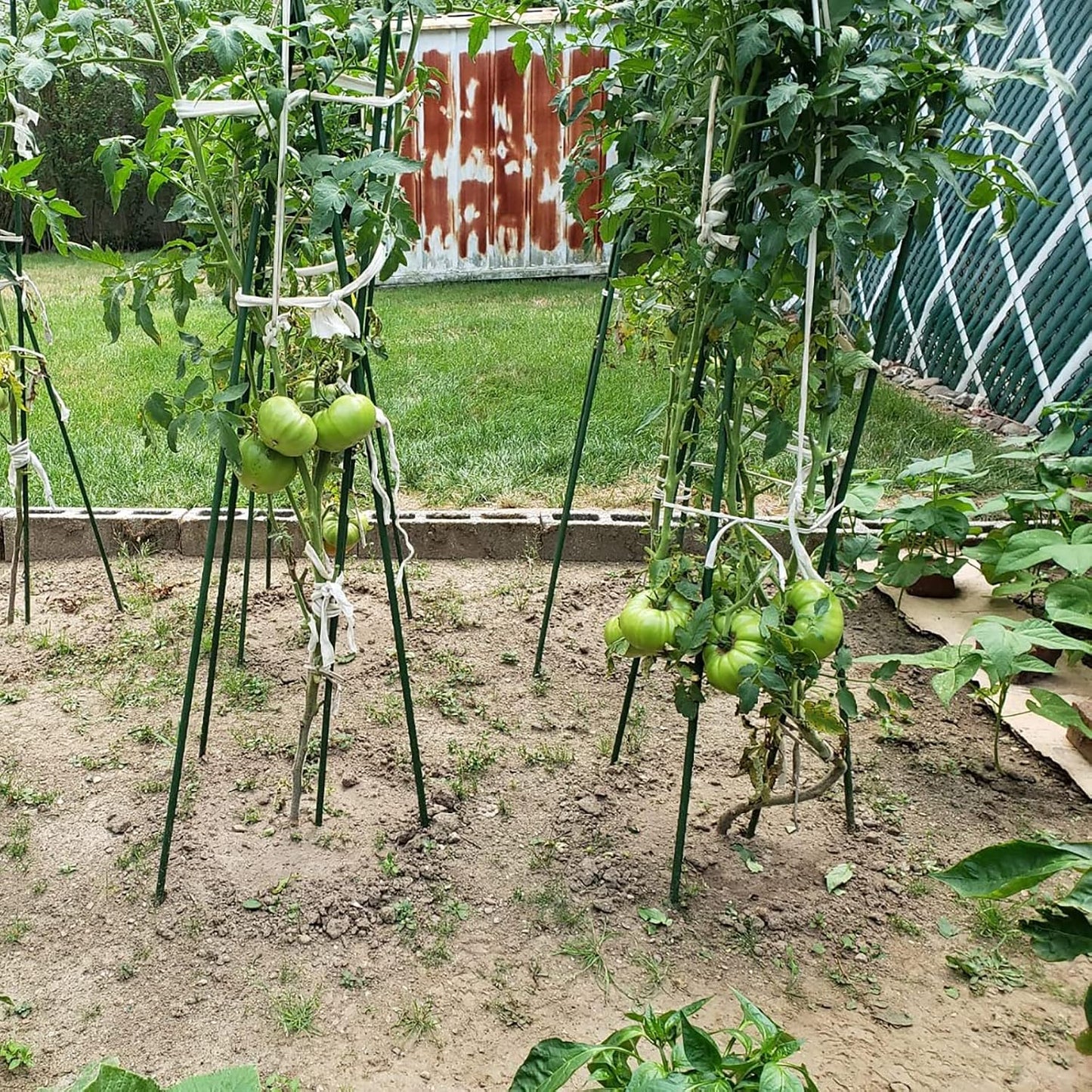 Garden Plant Stakes, 48 Inch 4Ft Steel Tomato Stakes, 25 Pack