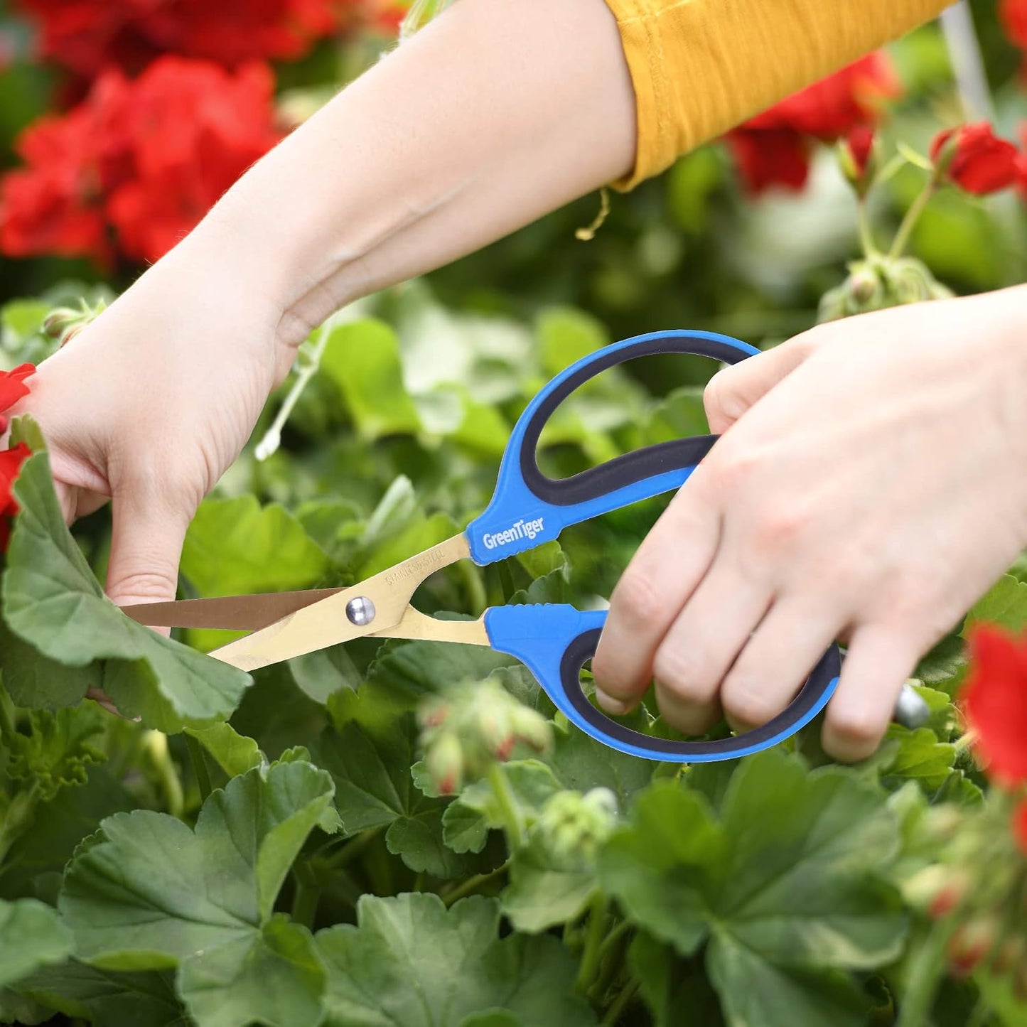 Garden Scissors, 65mm Extra-Long Blade, Golden Titanium Coating Pruning Shears, Sharp Precision-ground Stainless Steel Bonsai Shears, Suit for Garden and Home