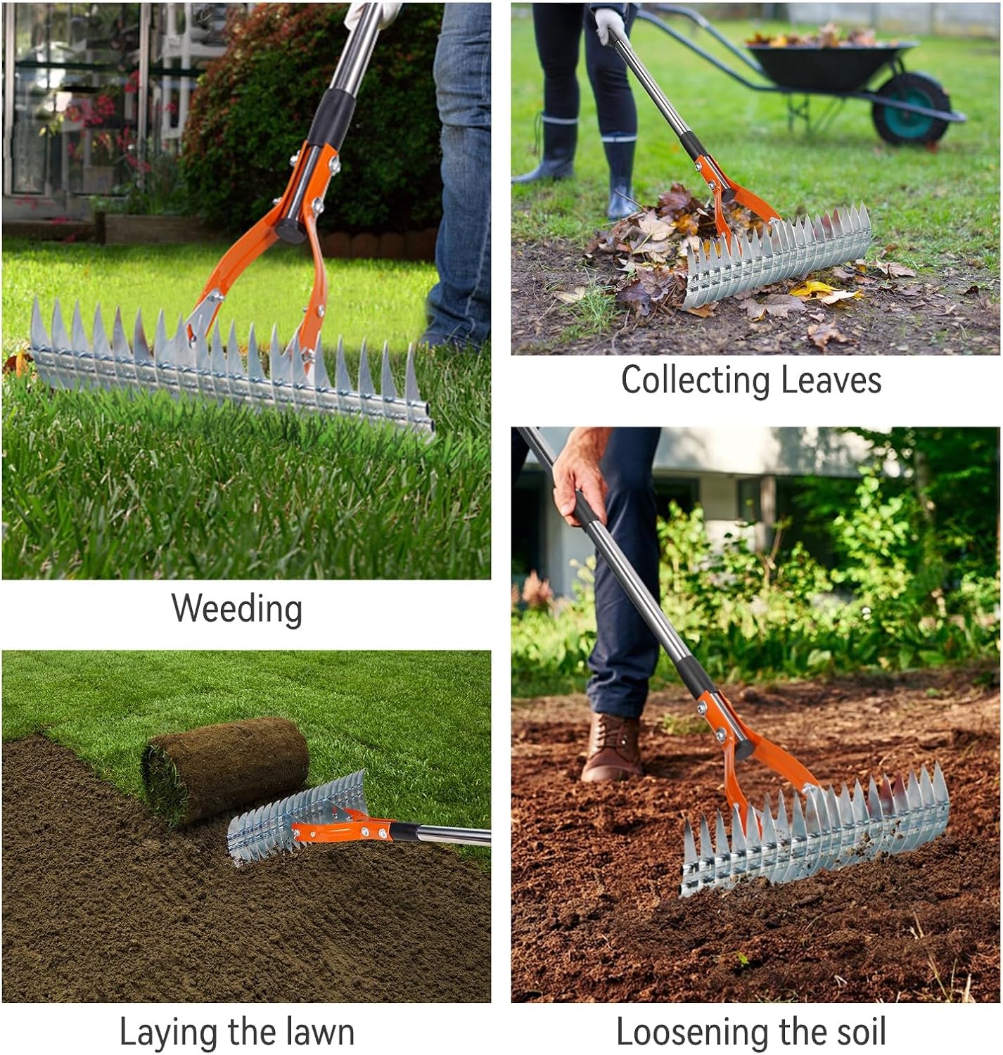Thatch Rake for Lawns, 15" Heavy Duty Metal Dethatcher Rake with 5FT Handle, 70’’ Adjustable Manual Thatcher with 19-Tine for Lawn Loosening Soil, Yard and Removing Dead Grass