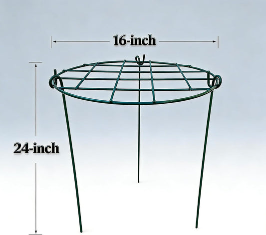 5 Pack 16 x 24 inch Peony Cages,Grow Through Plant Support Stakes, Flower Support Hoops Heavy Plants Brace Rings