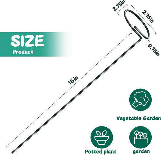 Green Metal Plant Support Stakes with Rings (Pack of 8) and 10 Plant Clips - Garden Single Stem Support Rod Set for Amaryllis, Rose, Tomato Seedling, Sapling