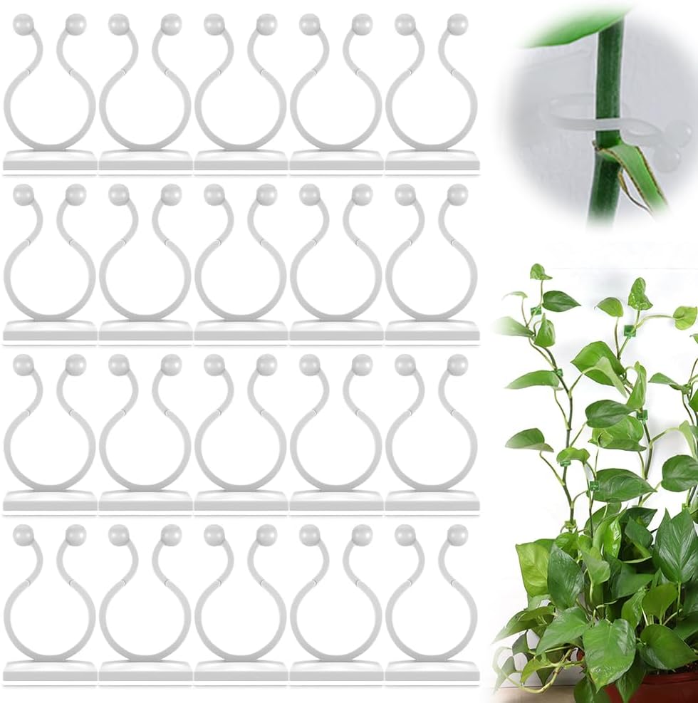 Plant Climbing Wall Fixture Clips, Plant Vine Wall Clips Wall Plant Support Hook, Invisible Plant Support Vine Clips, Plant Fixer Self-Adhesive Hook for Climbing Plants Indoor Outdoor (100, Green)