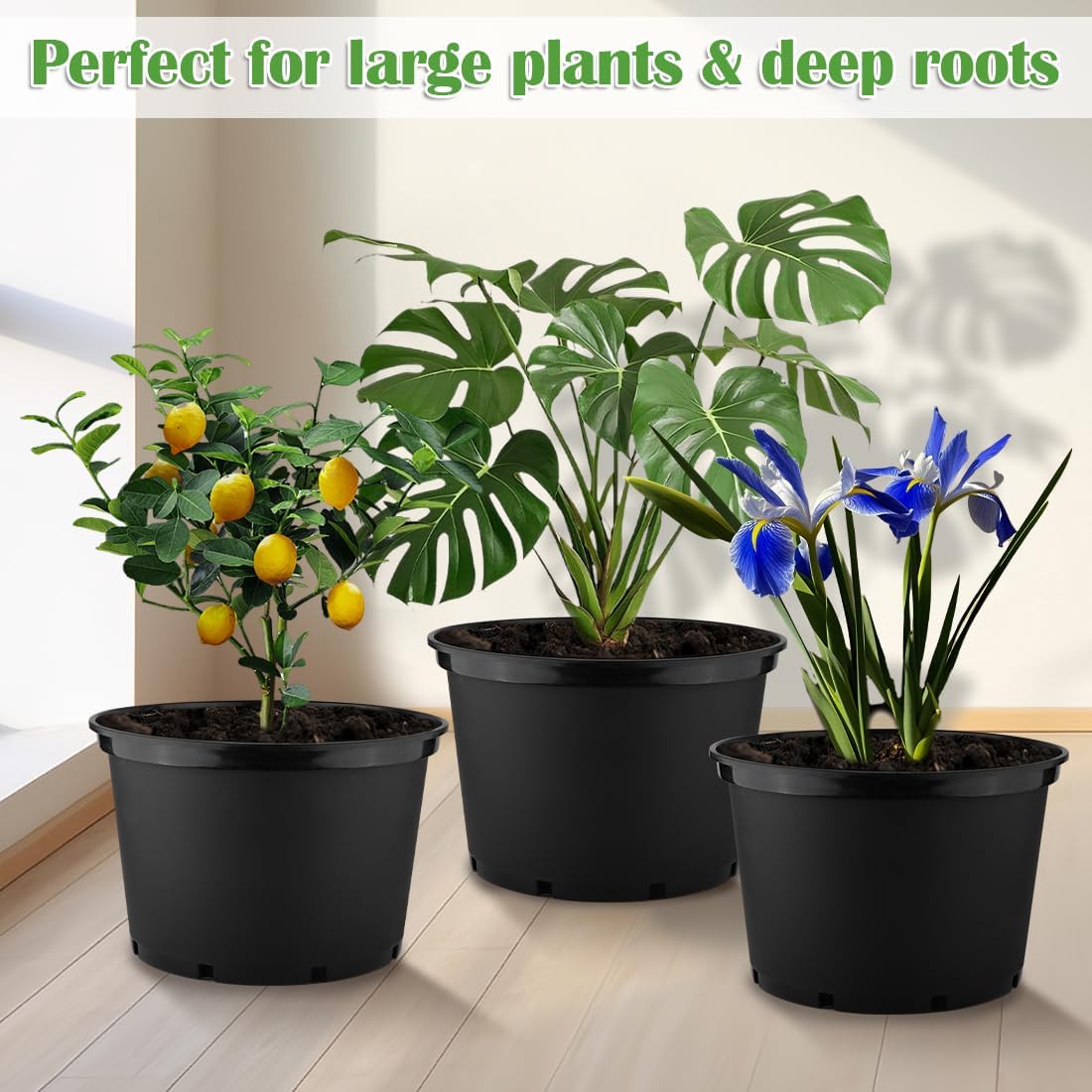 5 Gallon Nursery Pots (10-Pack) + 50ft Garden Hose with Spray Nozzle + 3-in-1 Soil Tester for Moisture/Light/pH | All-in-One Gardening Kit for Indoor/Outdoor Plants, Gardening Gifts for Women