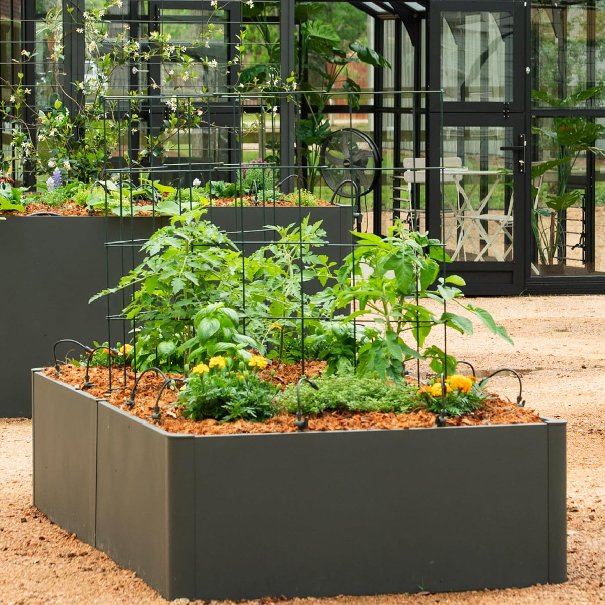 Vego 3-Panel Tomato Cage for Garden & Pots, Rust-Resistant Tomato Stakes Plant Cage Trellis Support for Climbing Vegetables Plants- 11.5" Triangle 4 Pack