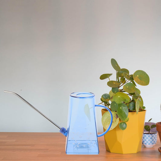 Transparent Watering can with Long Spout Clear Watering can for Indoor Plants Small Watering Kettle for Succulents Houseplants Patio .28 X 4.33 X 4.33 in 1 Pack