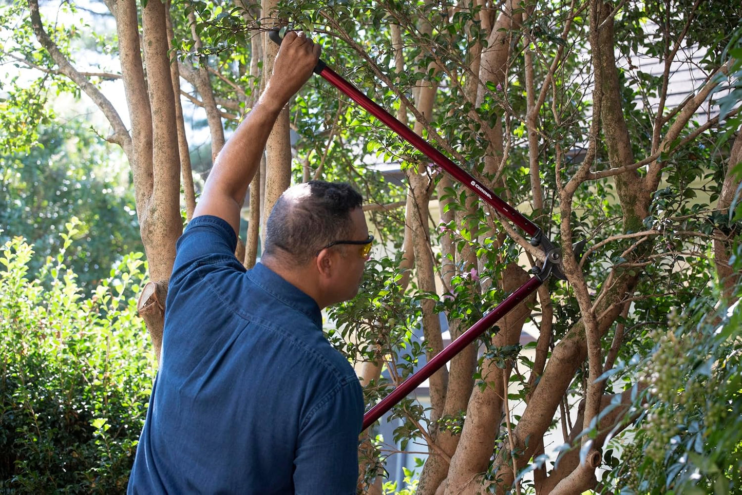 26-inch Branch Cutter MAXFORGED Orchard Loppers | Tree Trimmer Cuts Branches up to 2 ¼-inches in Diameter | AL 8442 Red