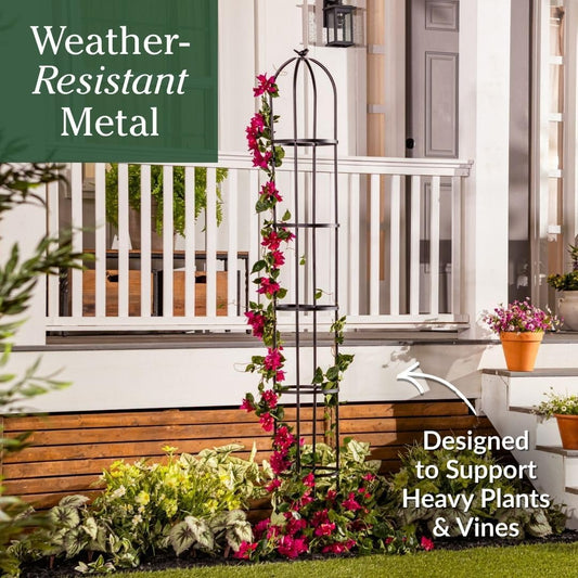 Evergreen Metal Garden Obelisk Trellis for Climbing Plants Outdoor, Indoor Plant Trellis for Potted Plants, Floral Pattern Arch Trellis (Black, 7 ft. Round)