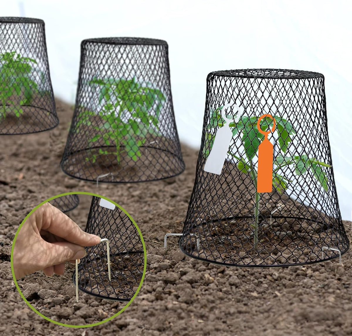 10 Pcs 9.13"×9.13" Chicken Wire Cloche Plant Covers Garden Netting Metal Heavy Duty Plant Protectors from Animals for Keeping Bunnies Chicken Squirrels Birds Other Out