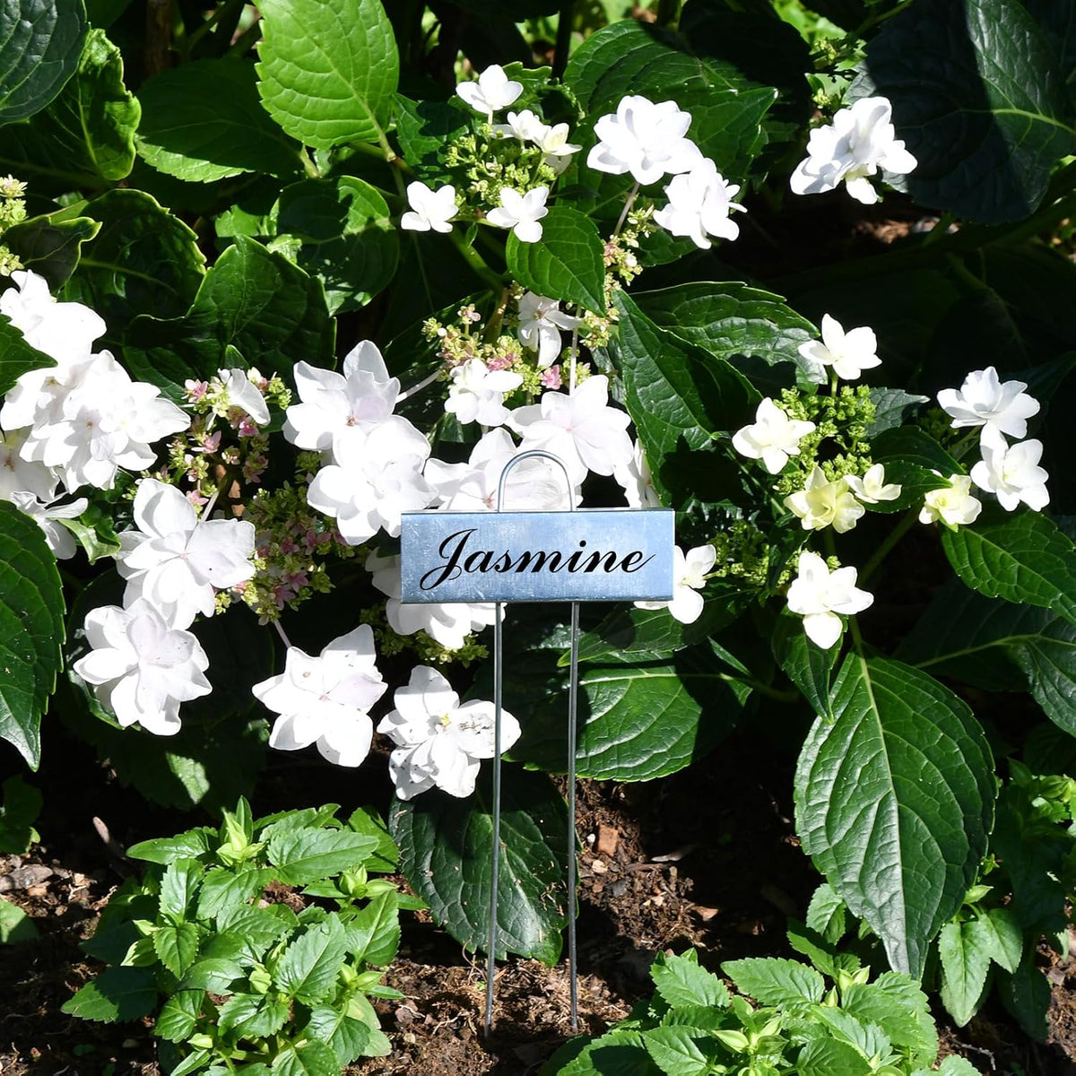 30 Pack Metal Plant Labels for Outdoor Garden Waterproof Plant Markers, Labels Garden Markers for Seedlings Herbs Vegetable Greenhouse Gifts, with Pen