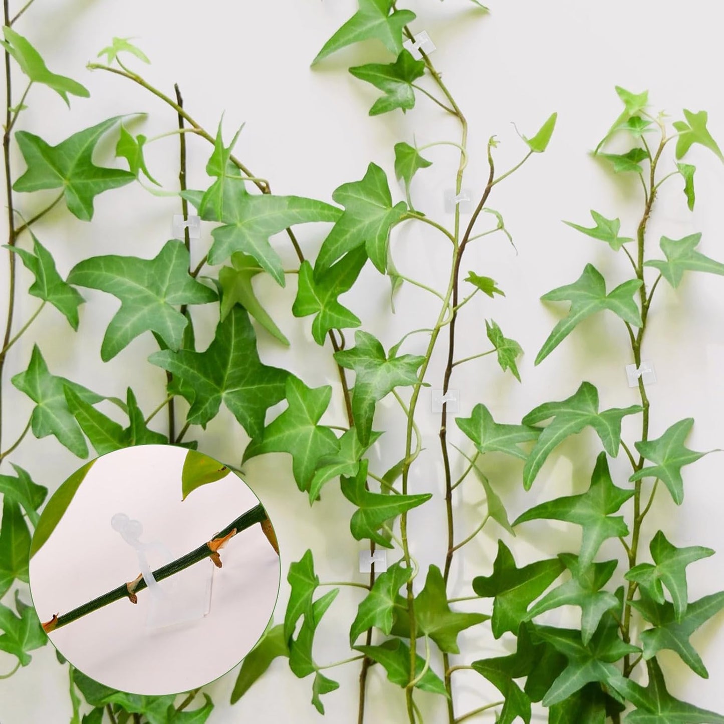 100 Pcs Plant Climbing Wall Fixture Clips, White Plant Fixer with Self-Adhesive Hook, Fixing Clip Vines Holder for Indoor Outdoor Plants Support Cable Wire (Medium)