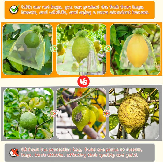 Shintop 100Pcs Fruit Protection Bags, 6x9 Inch Green Fruit Tree Netting Cover Drawstring Mesh Tomato Bags Pest Barrier for Apples Mango
