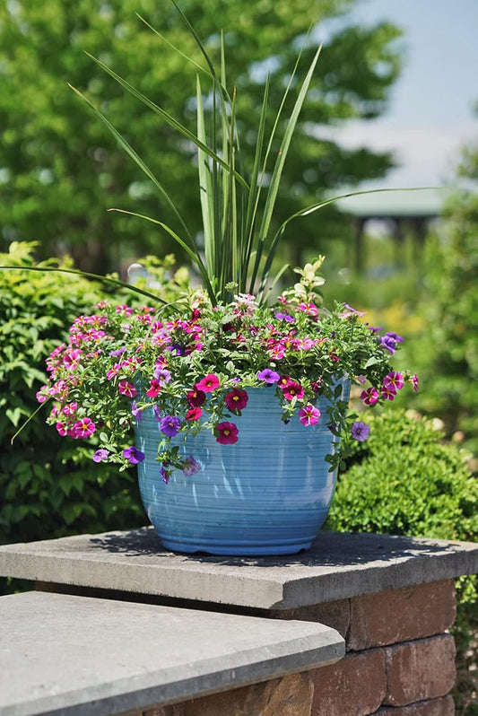 Garden Elements Indoor/Outdoor Glazed Brushed Happy Plastic Planter, Large, Bright Pink, 15"