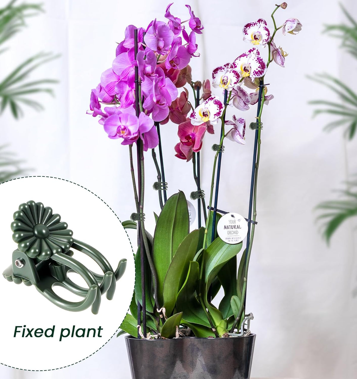 60Pcs Plant Clips for Climbing Plants, Orchid Clips for Plants Support, Indoor & Garden Clip for Climbing Plant Pins, Perfect for Vines & Flowers, Easy to Use Durable, Green