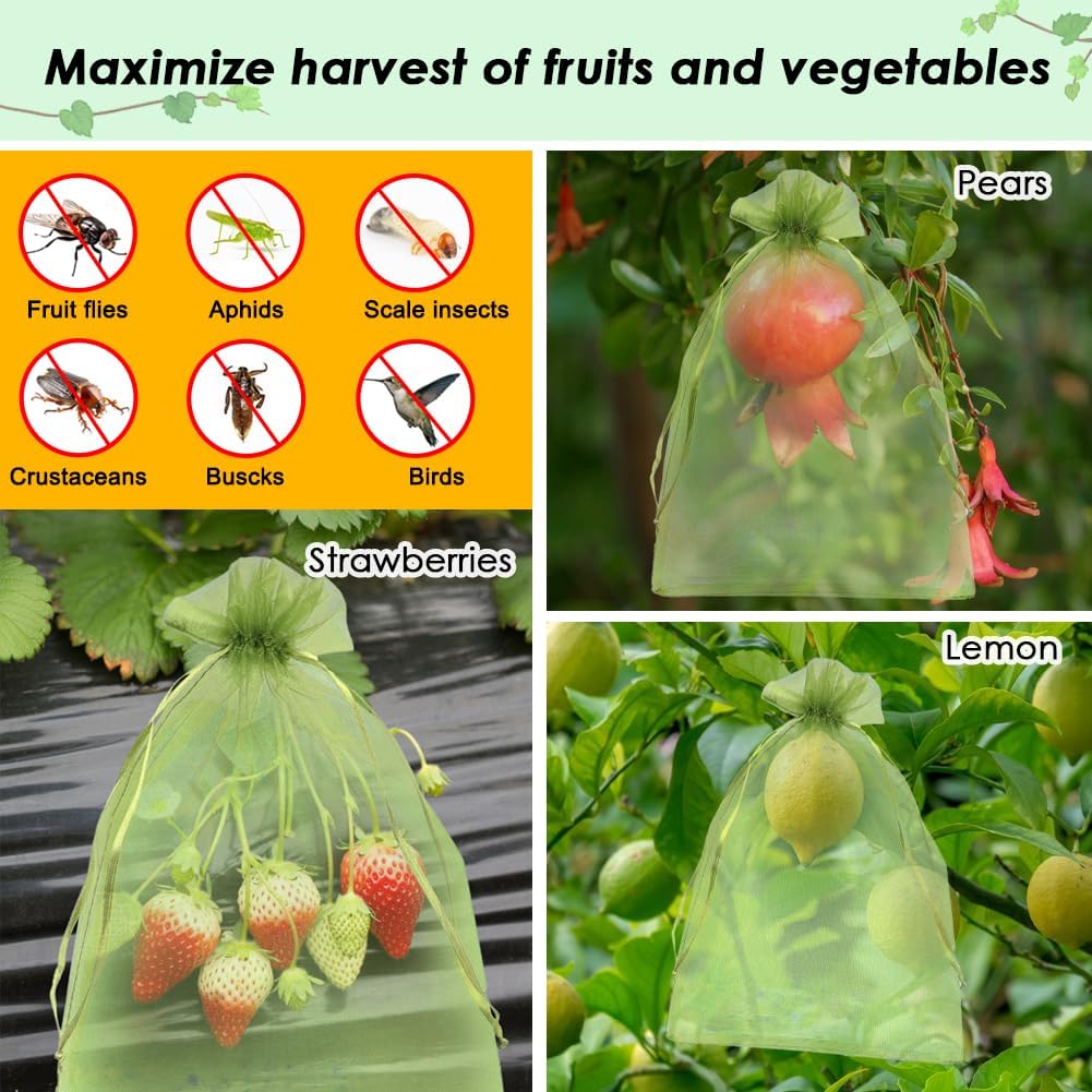 Shintop 100Pcs Fruit Protection Bags, 4x6 Inch Green Strawberry Netting Cover Drawstring Mesh Bags Pest Barrier for Blueberry Small Fruit