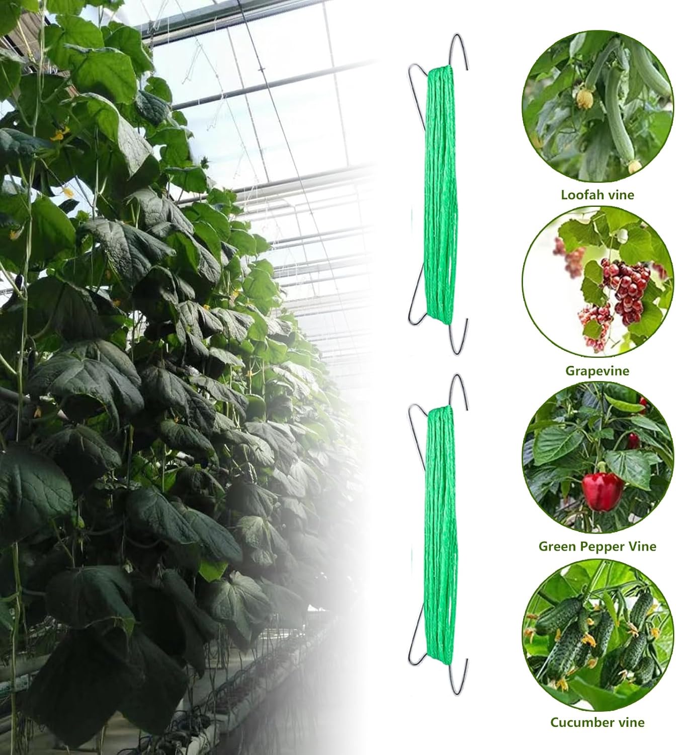 50PCS Tomato Hooks with String, Tomato and Vine Crop Trellis,Tomato Plant Support Clips with 33.3ft Twine to Prevent Tomatoes from Pinching or Falling Off(Green)