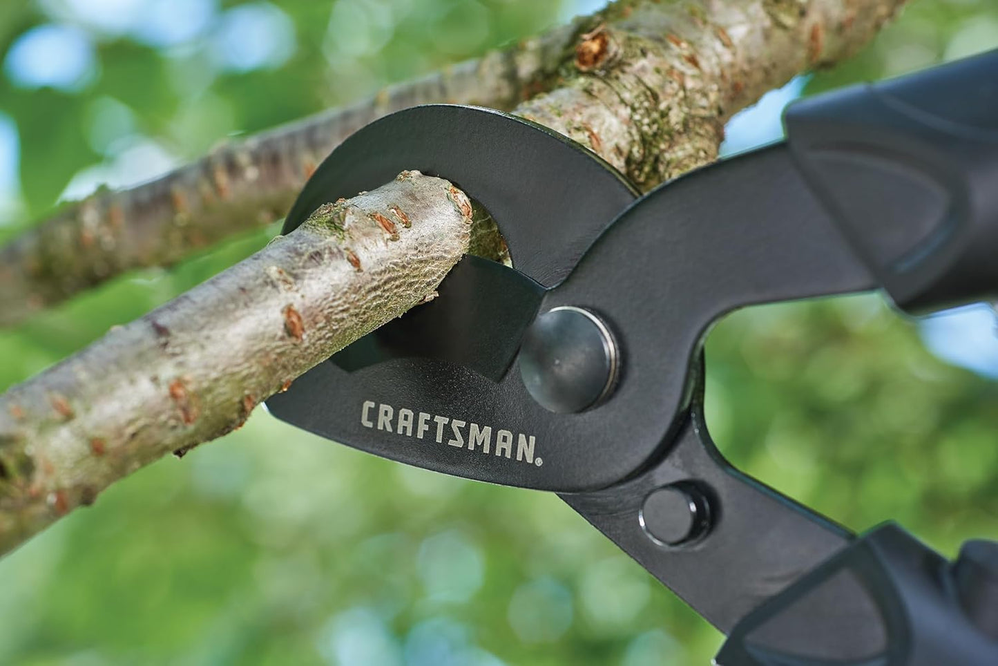Craftsman Bypass Lopper
